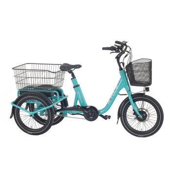 TRIKE mini