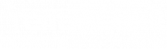 terravision-electric-logo white